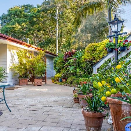 Avocado Sunset Bed & Breakfast Mount Tamborine Exterior photo