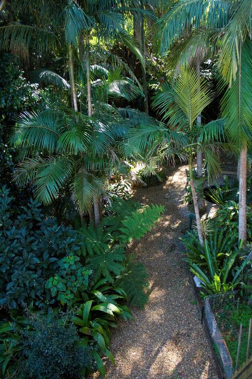 Avocado Sunset Bed & Breakfast Mount Tamborine Exterior photo
