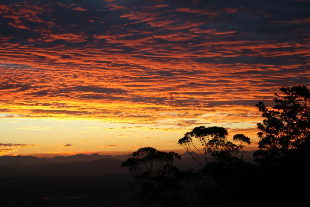 Avocado Sunset Bed & Breakfast Mount Tamborine Exterior photo
